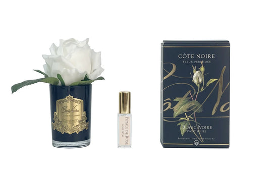 Cote Noire Perfumed Natural Touch Rose Bud - Black - White -