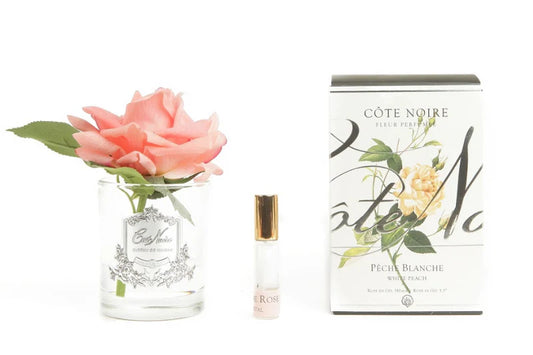 Cote Noire Perfumed Natural Touch Single Rose - Clear - Peach